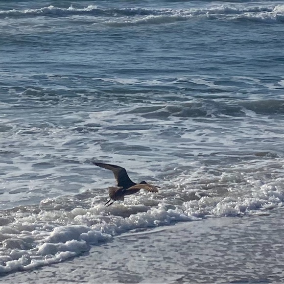 Meet your Posher, Keri! - Picture 2 of 6